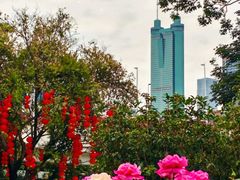 -人民公园(罗湖区)