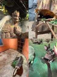 -Zoolung Zoolung动物主题公园(海信广场店)