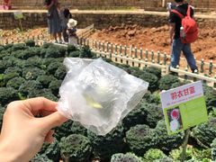 -天河儿童公园