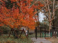 -月湖风景区