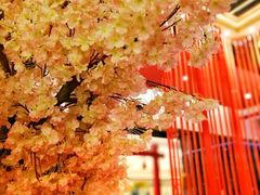 -栖川山葵家·寿喜锅·日式料理(龙湖北城天街商场店)