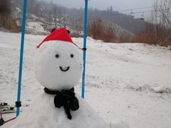 -亚布力新体委滑雪场