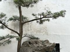 -豫园