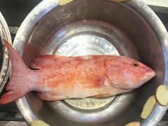 -北塘海鲜·天津菜·鲅鱼水饺是一绝(大光明桥旗舰店)