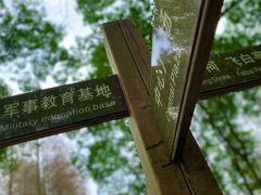 -青龙山国家森林公园
