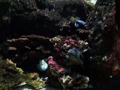 -杭州海底世界