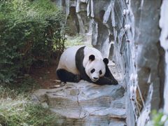 -五龙山野生动物王国