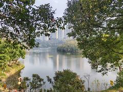 -重庆彩云湖湿地公园
