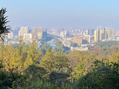 -潜山国家森林公园