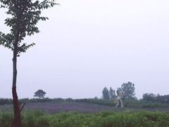 -汤山翠谷生态餐厅