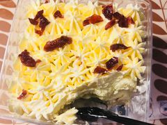 -猫咪博物馆(顶澳仔猫街店)