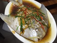 鲳鱼-凯华海鲜火锅·传承三十六年