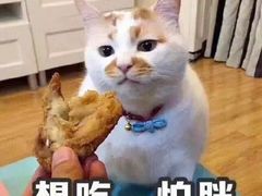 -汉堡王(上海虹口龙之梦)