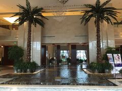 环球恐龙城维景国际大酒店-常州环球恐龙城维景国际大酒店