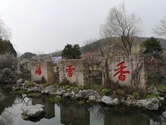 -香雪海