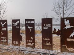 -绿堤公园