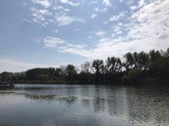 -溱湖国家湿地公园