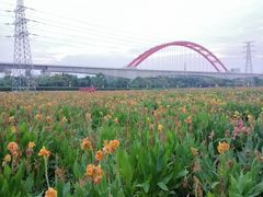 -那考河湿地公园