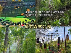 -西双版纳傣族园