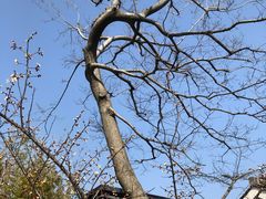 -广富林郊野公园