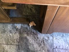 -小龙坎老火锅(北京三里屯店)