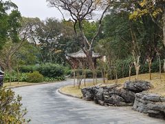 -柳侯公园
