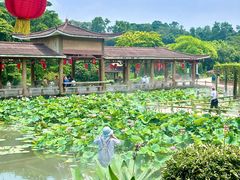 -广州莲花山旅游区