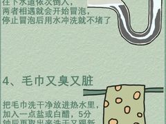 -天鹅到家·保姆月嫂育儿嫂(总店)