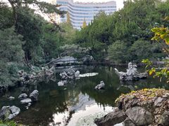 -叶家花园