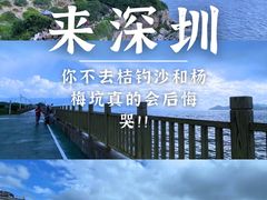 -杨梅坑
