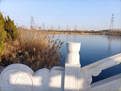 -大港湿地公园