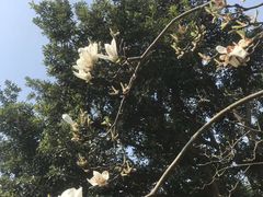 -宁波九龙湖开元度假村