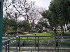 -上海市保健医疗中心(华东疗养院)