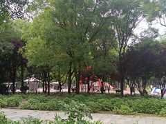 -东升八家郊野公园