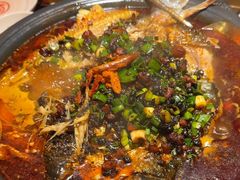 -探鱼·鲜青椒爽麻烤鱼(北京路天河城店)