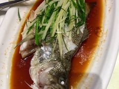 清蒸鲈鱼-龙记烧腊茶餐厅(常德路店)