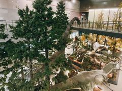 -湖南省地质博物馆