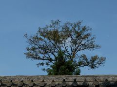 -青龙山生态文化旅游区(慈云寺)