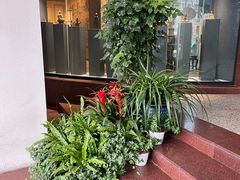 -云洲古玩城(大木桥路店)