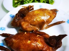 -光明刘冰乳鸽店(光明法政北路店)