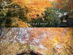 -中国茶叶博物馆(双峰馆区)
