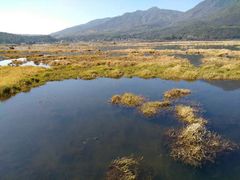 -腾冲北海湿地