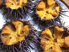 -海胆小馆(东北水饺·春柳店)