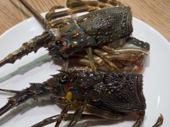 -尚海豆捞(乐虹坊店)