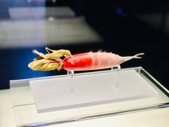 -河南博物院