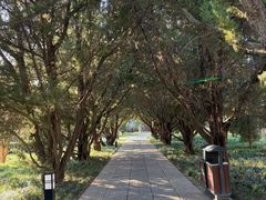 -洛阳古墓博物馆