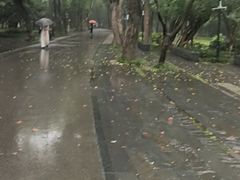 -东湖落雁景区