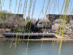 -桃花堤公园