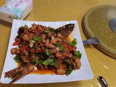 -煲来饱去冷水鱼