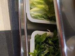 -正能量脆肉鲩火锅